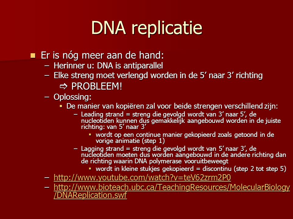 DNA replicatie Er is nóg meer aan de hand:  PROBLEEM!