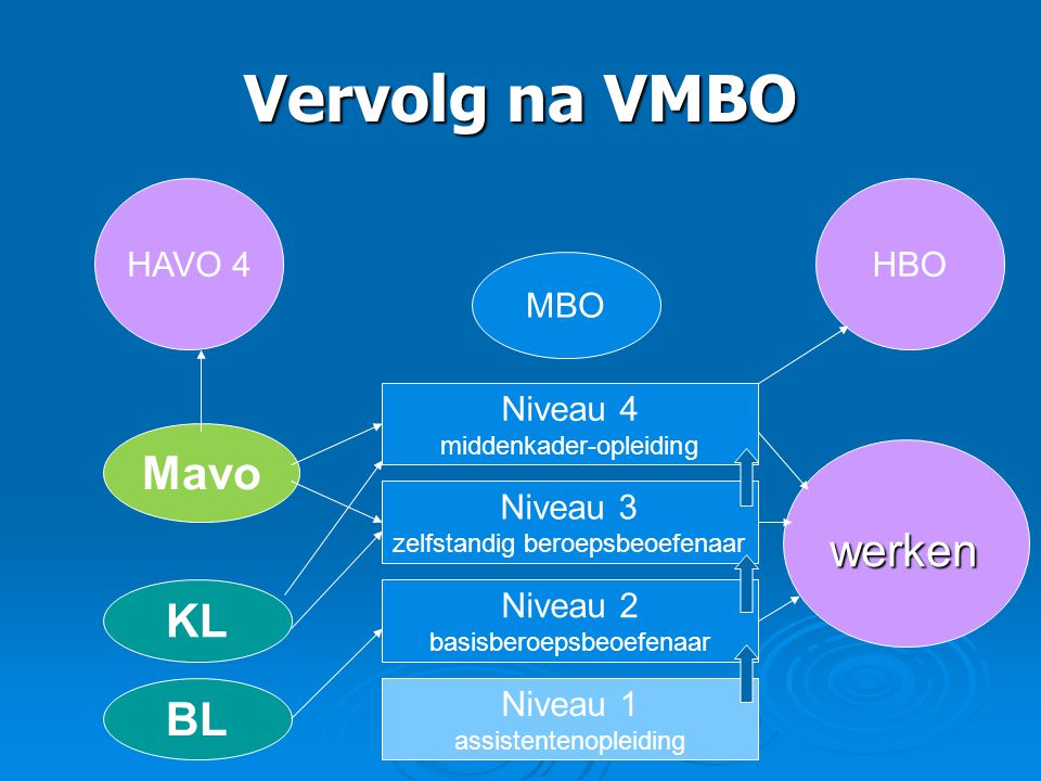 Vervolg na VMBO Mavo werken KL BL HAVO 4 HBO MBO Niveau 4 Niveau 3