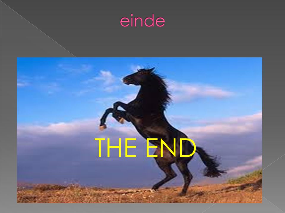 einde THE END