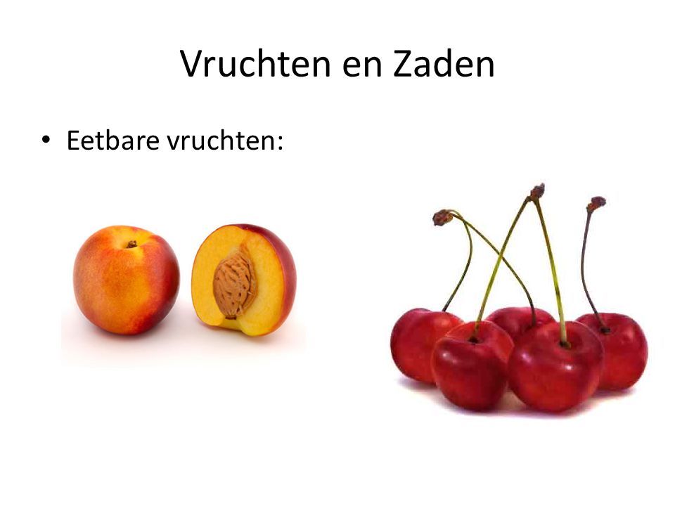 Vruchten en Zaden Eetbare vruchten: Perzik, Kers