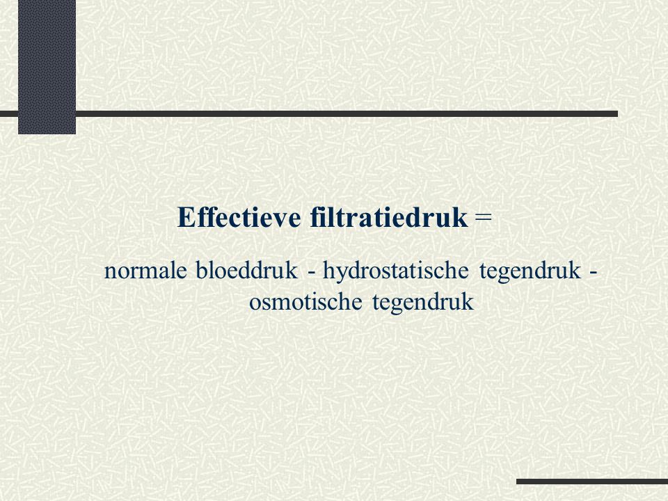 Effectieve filtratiedruk =