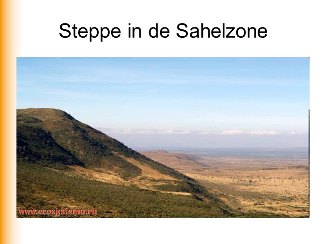 Steppe in de Sahelzone