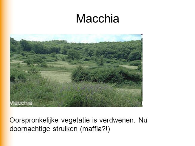 Macchia Oorspronkelijke vegetatie is verdwenen. Nu doornachtige struiken (maffia !)