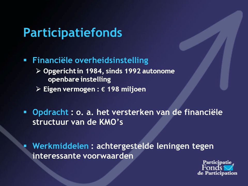 Participatiefonds Financiële overheidsinstelling