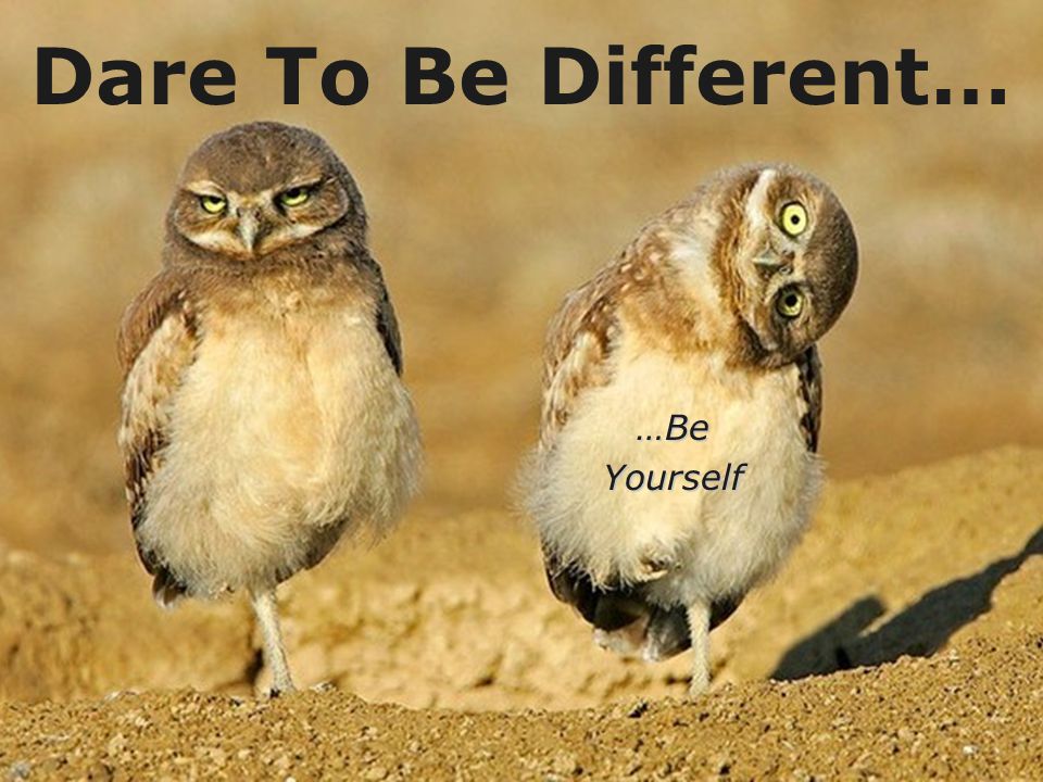 Dare To Be Different… …Be Yourself