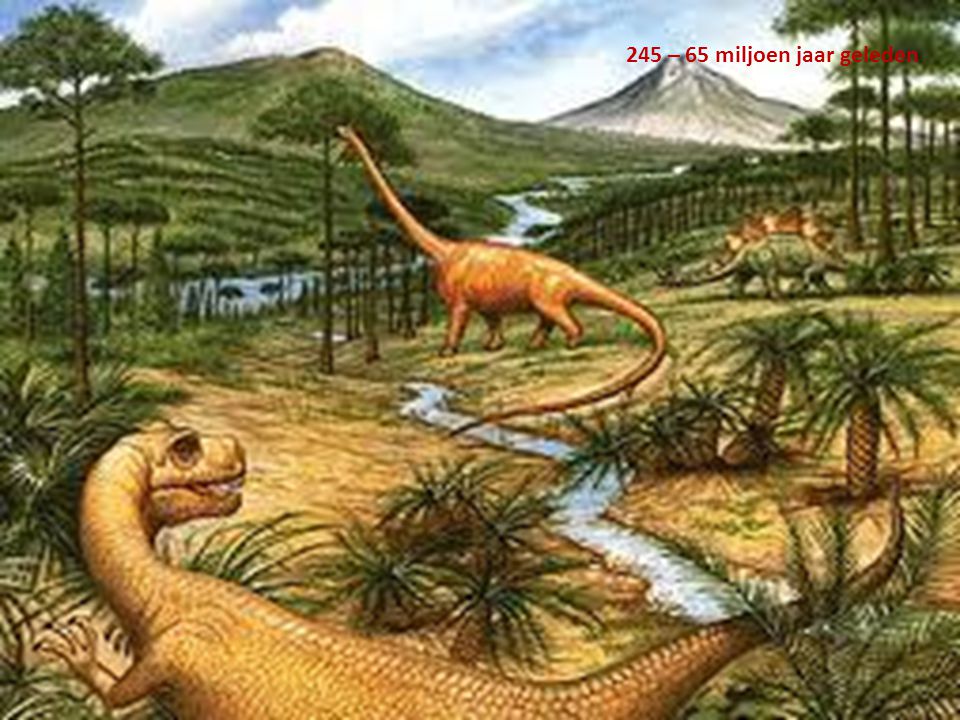 245 – 65 miljoen jaar geleden