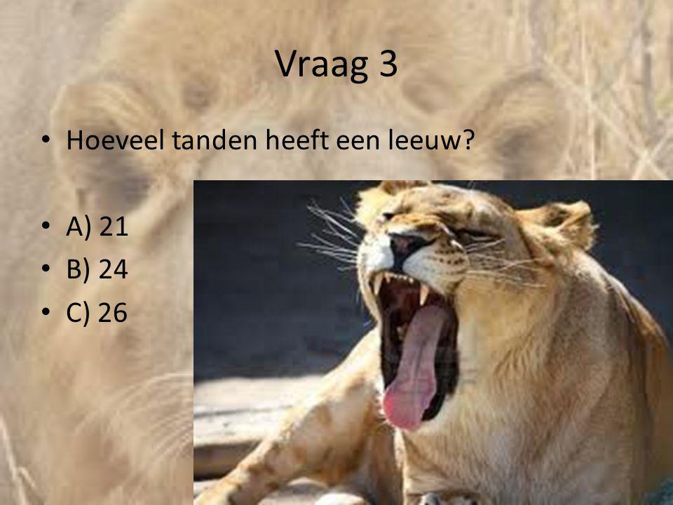 Vraag 3 Hoeveel tanden heeft een leeuw A) 21 B) 24 C) 26