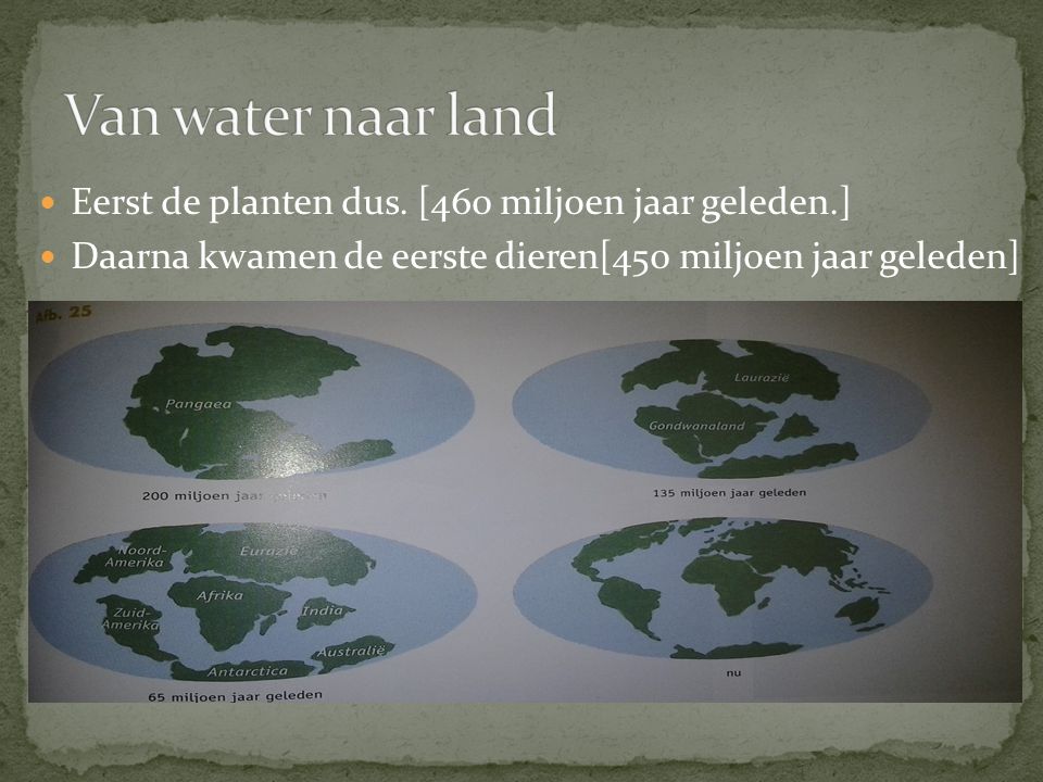 Van water naar land Eerst de planten dus. [460 miljoen jaar geleden.]
