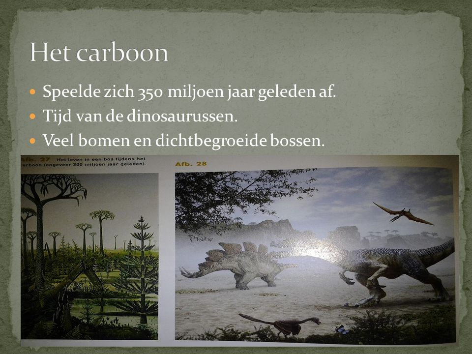 Het carboon Speelde zich 350 miljoen jaar geleden af.