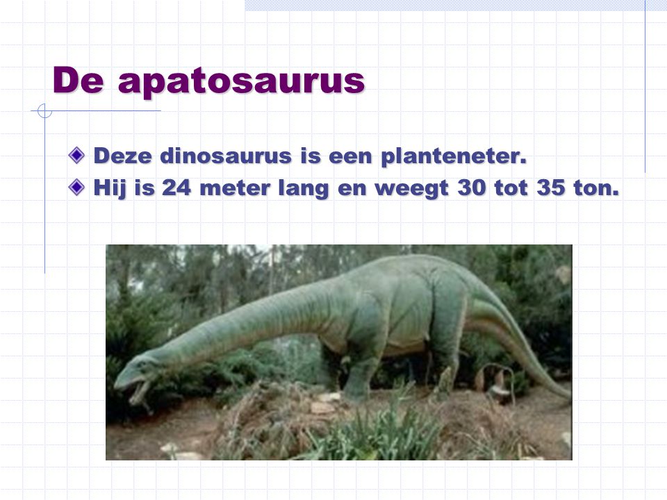 De apatosaurus Deze dinosaurus is een planteneter.