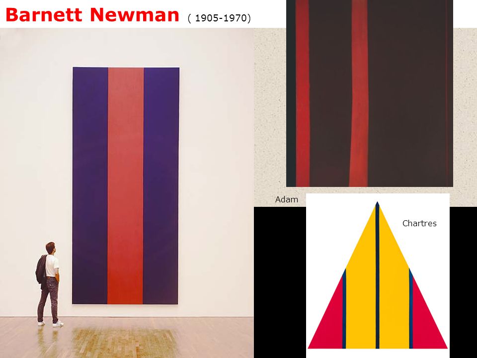 Barnett Newman ( ) Adam Chartres
