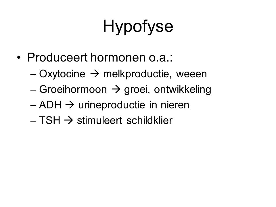Hypofyse Produceert hormonen o.a.: Oxytocine  melkproductie, weeen