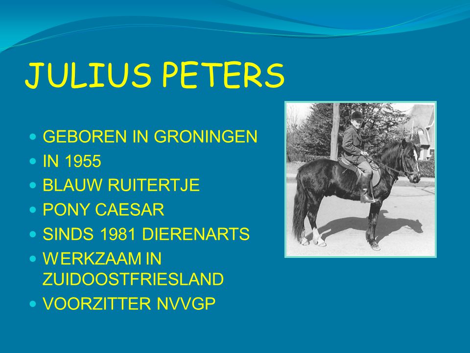 JULIUS PETERS GEBOREN IN GRONINGEN IN 1955 BLAUW RUITERTJE PONY CAESAR