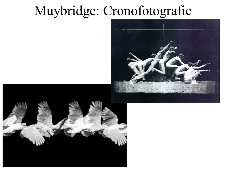 Muybridge: Cronofotografie