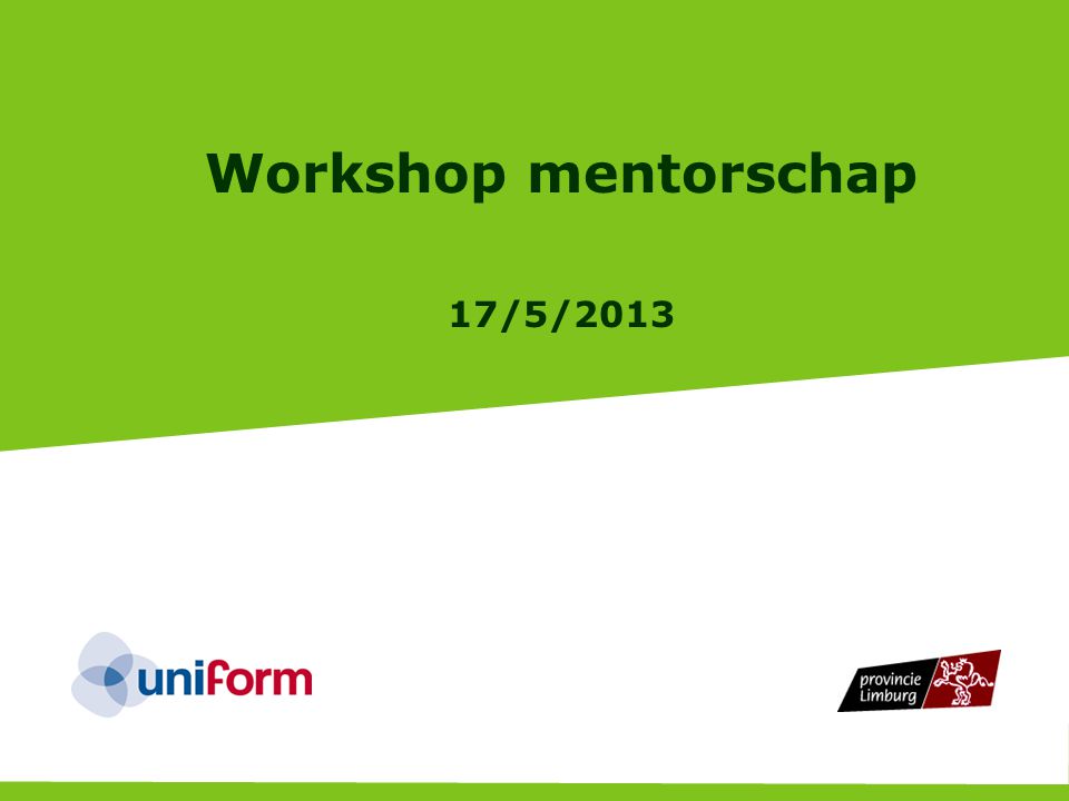 Provincie Limburg Workshop mentorschap 17/5/2013