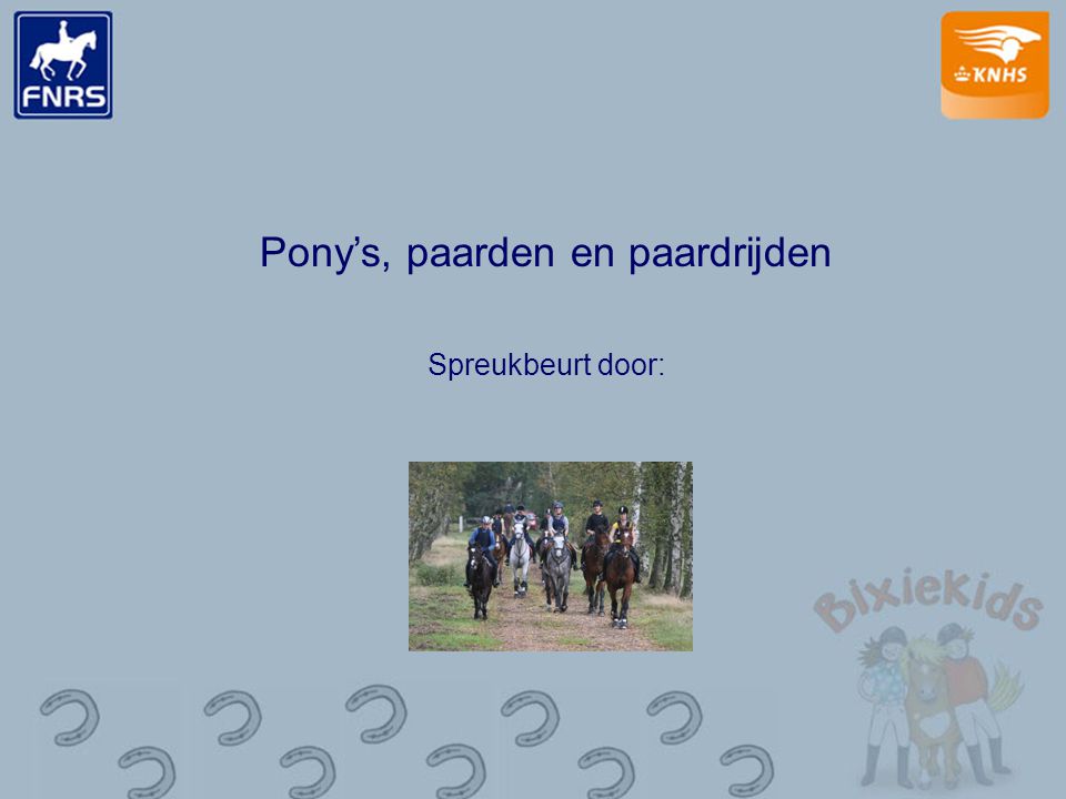 Pony’s, paarden en paardrijden