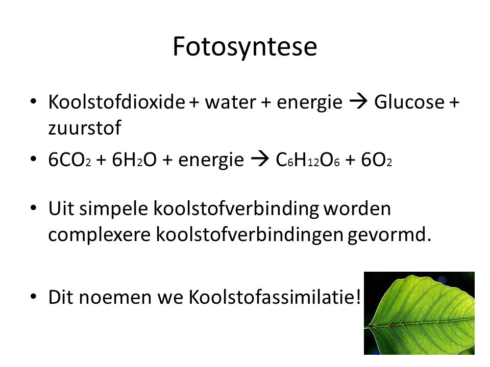 Fotosyntese Koolstofdioxide + water + energie  Glucose + zuurstof