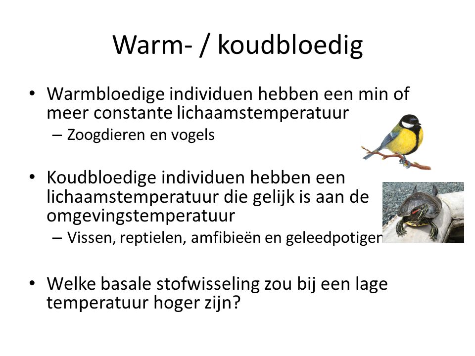Warm- / koudbloedig Warmbloedige individuen hebben een min of meer constante lichaamstemperatuur. Zoogdieren en vogels.