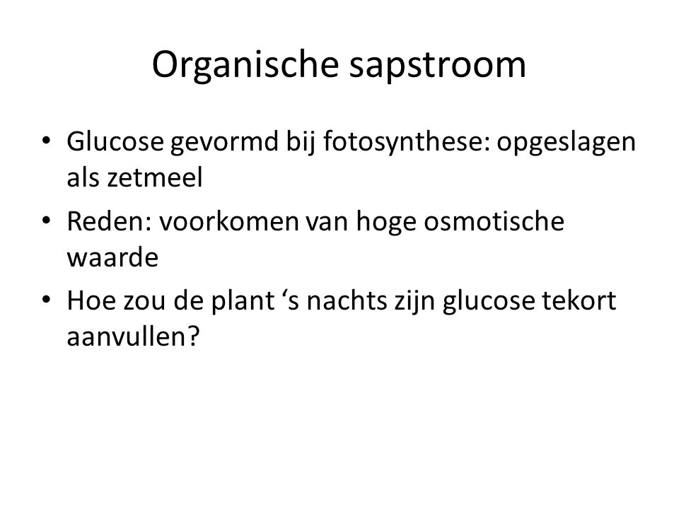 Organische sapstroom Glucose gevormd bij fotosynthese: opgeslagen als zetmeel. Reden: voorkomen van hoge osmotische waarde.