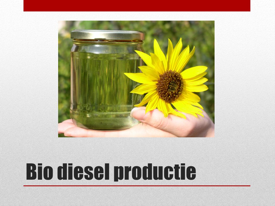 Bio diesel productie