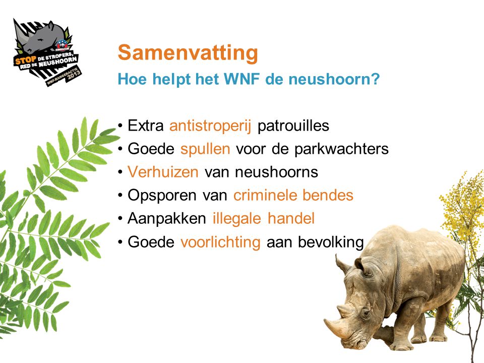 Samenvatting Hoe helpt het WNF de neushoorn