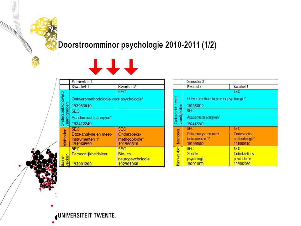 Doorstroomminor psychologie (1/2)