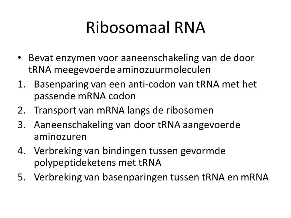 Ribosomaal RNA Bevat enzymen voor aaneenschakeling van de door tRNA meegevoerde aminozuurmoleculen.
