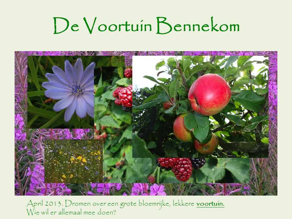 De Voortuin Bennekom April Dromen over een grote bloemrijke, lekkere voortuin.