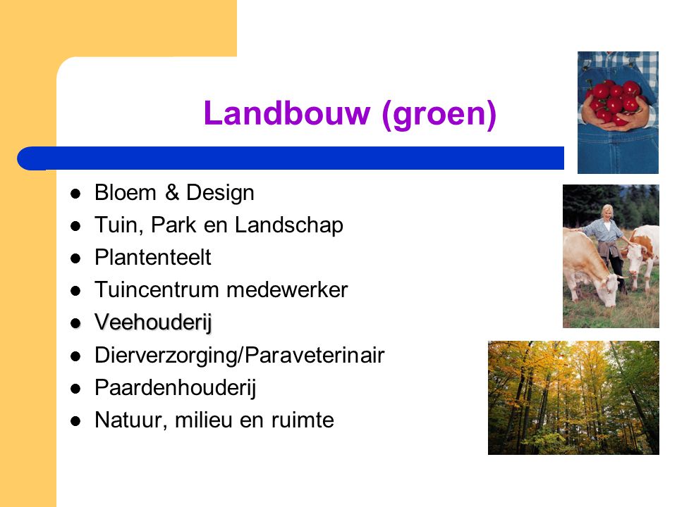 Landbouw (groen) Bloem & Design Tuin, Park en Landschap Plantenteelt