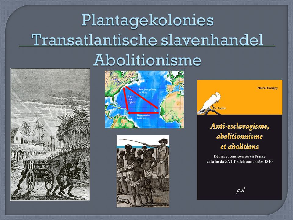 Plantagekolonies Transatlantische slavenhandel Abolitionisme