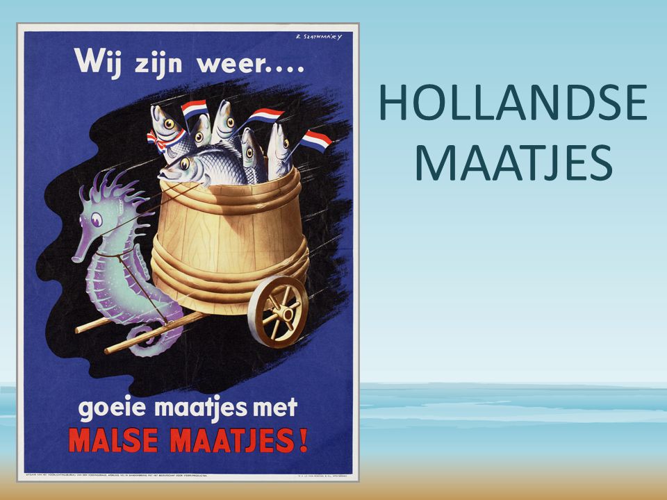 HOLLANDSE MAATJES