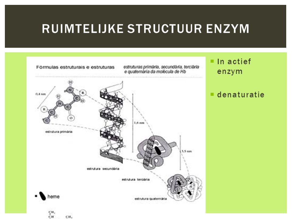Ruimtelijke structuur enzym