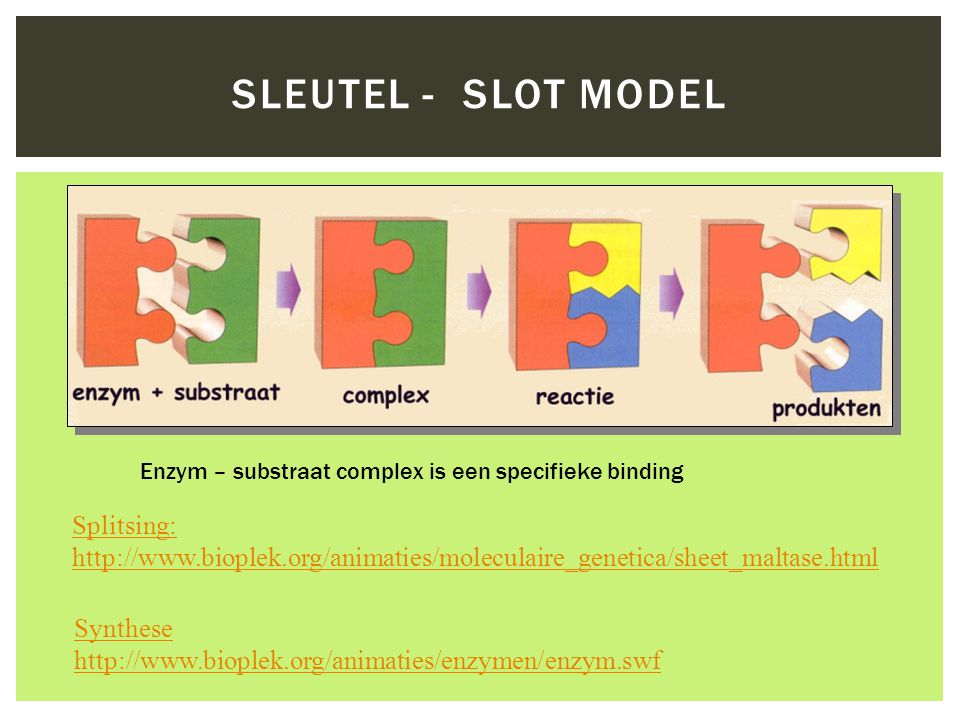 Sleutel - slot model Splitsing: