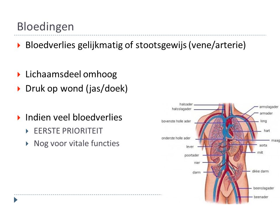 Bloedingen Bloedverlies gelijkmatig of stootsgewijs (vene/arterie)
