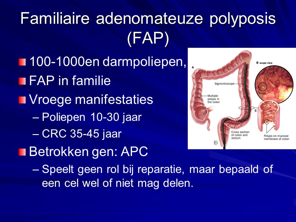 Familiaire adenomateuze polyposis (FAP)