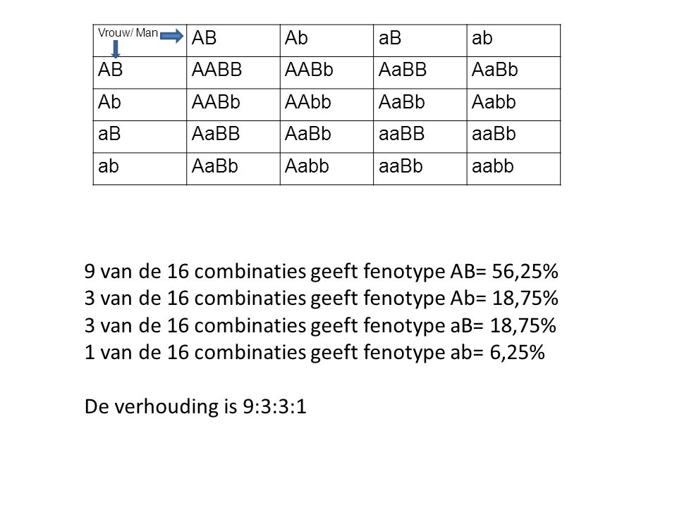 9 van de 16 combinaties geeft fenotype AB= 56,25%