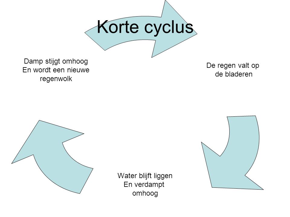 Korte cyclus
