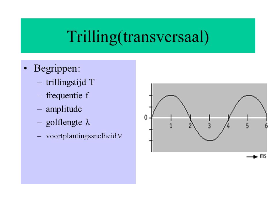 Trilling(transversaal)