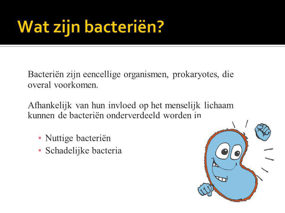 Wat zijn bacteriën Bacteriën zijn eencellige organismen, prokaryotes, die overal voorkomen.