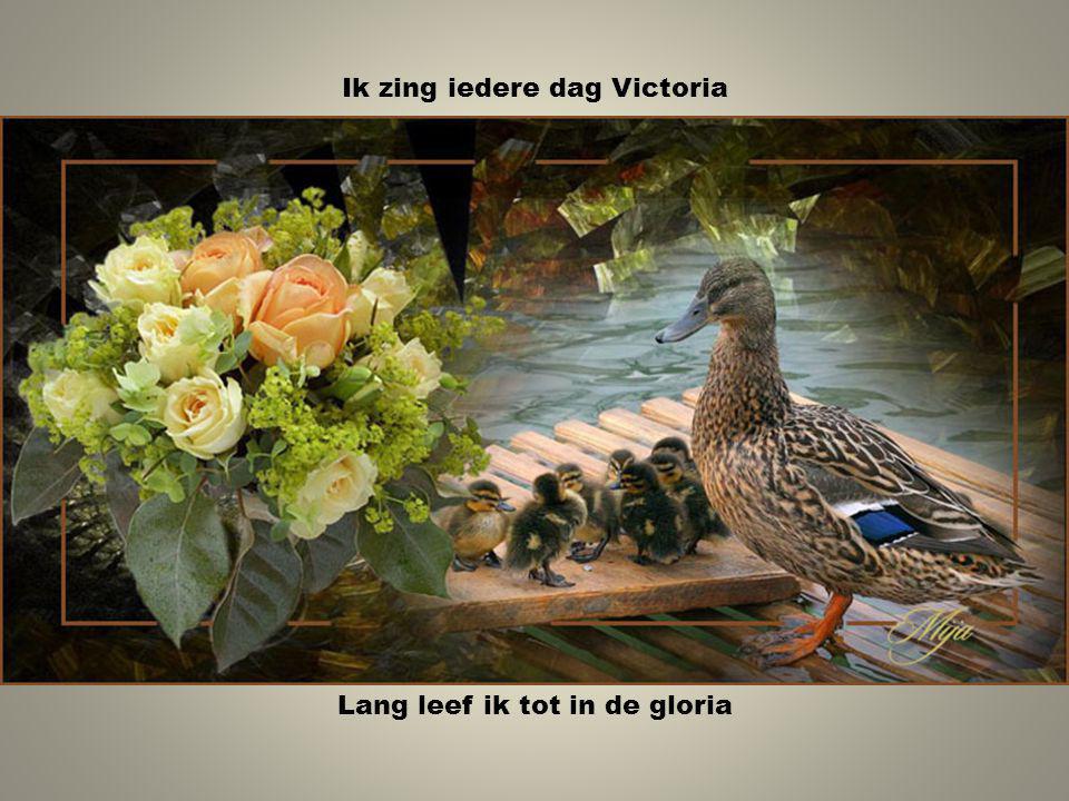 Ik zing iedere dag Victoria