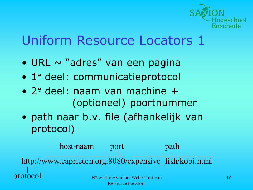Uniform Resource Locators 1