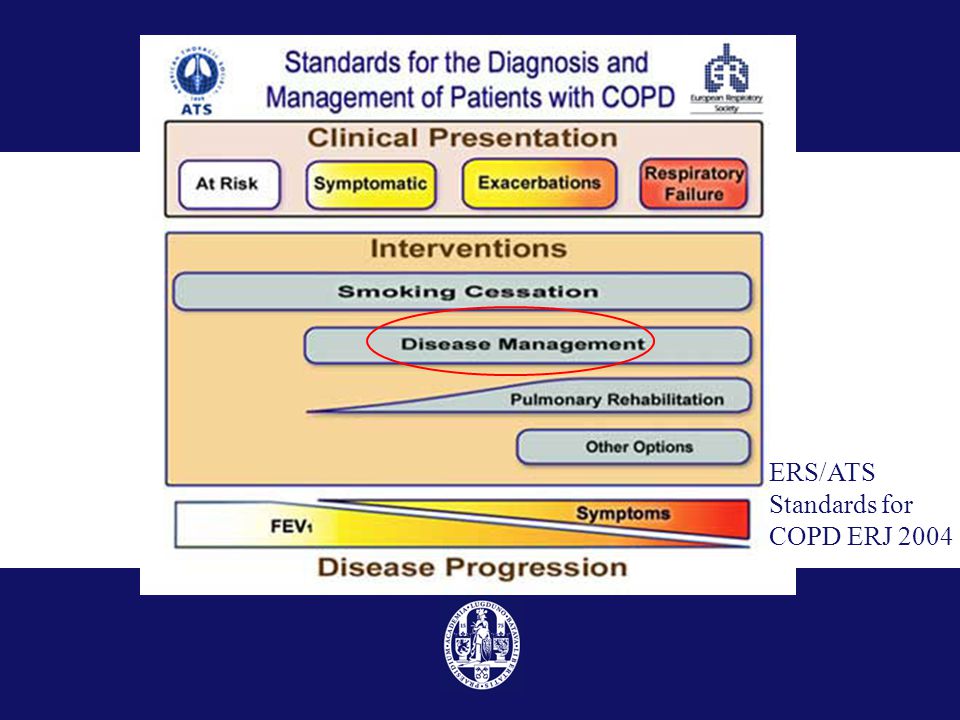 ERS/ATS Standards for COPD ERJ 2004