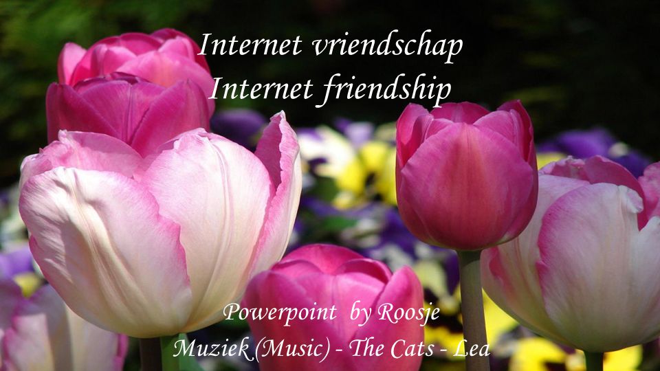 Internet vriendschap Internet friendship