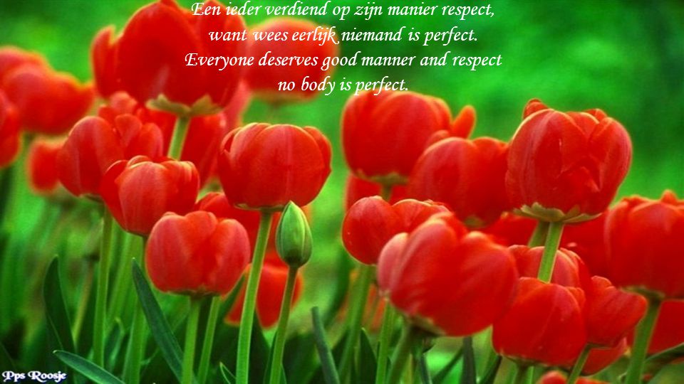Een ieder verdiend op zijn manier respect, want wees eerlijk niemand is perfect.