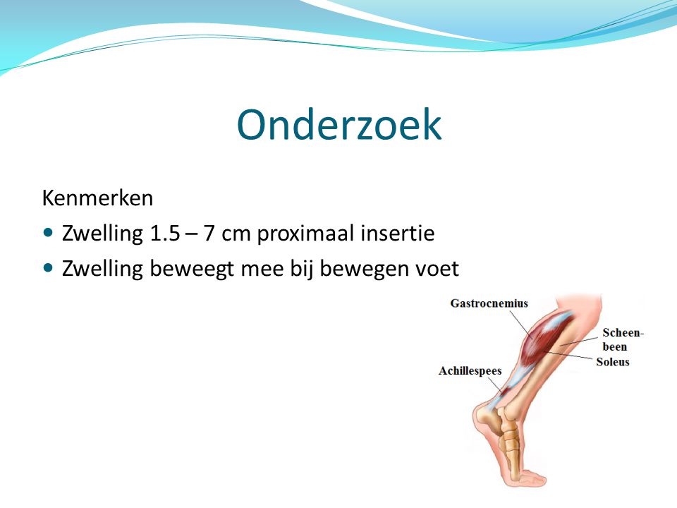 Onderzoek Kenmerken Zwelling 1.5 – 7 cm proximaal insertie