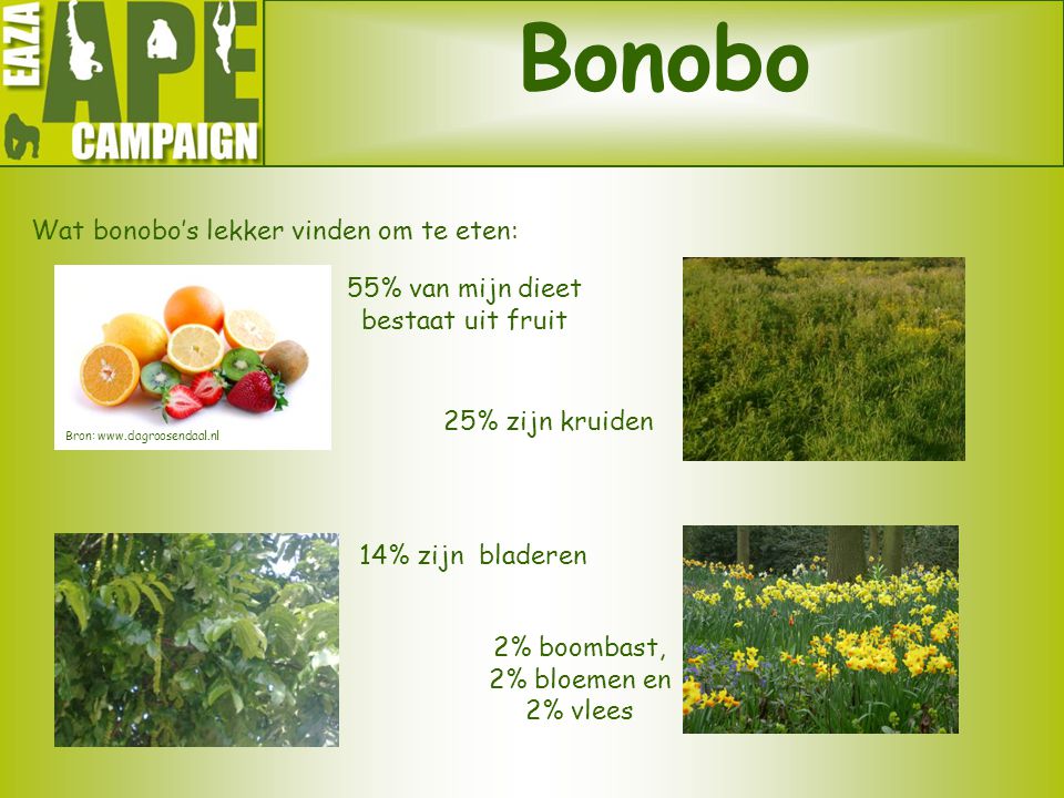 Bonobo Wat bonobo’s lekker vinden om te eten: