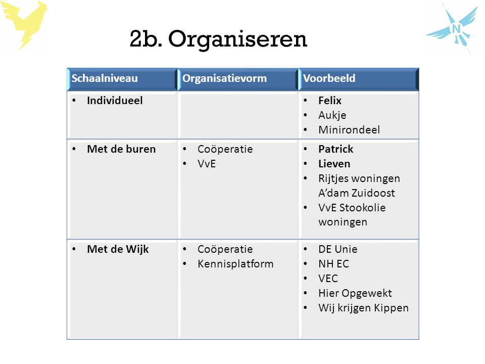 2b. Organiseren Schaalniveau Organisatievorm Voorbeeld Individueel