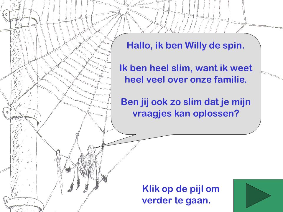 Hallo, ik ben Willy de spin.