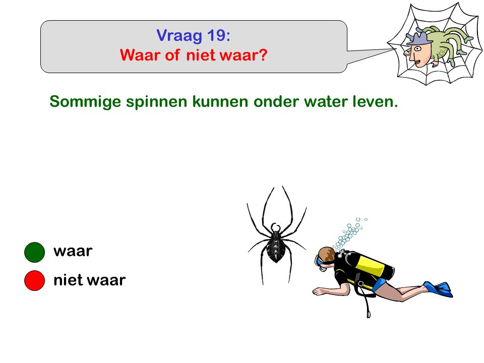 Vraag 19: Waar of niet waar Sommige spinnen kunnen onder water leven. waar niet waar