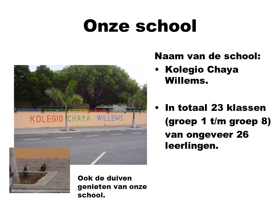 Onze school Naam van de school: Kolegio Chaya Willems.